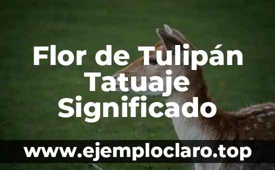 Flor de Tulipán Tatuaje Significado