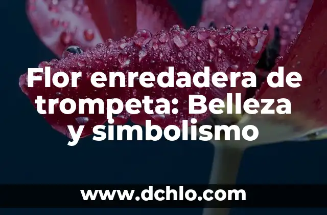 Significado de la Pulsera del Ojo de Dios: Orígenes y Simbolismo 3 Flor enredadera de trompeta: Belleza y simbolismo