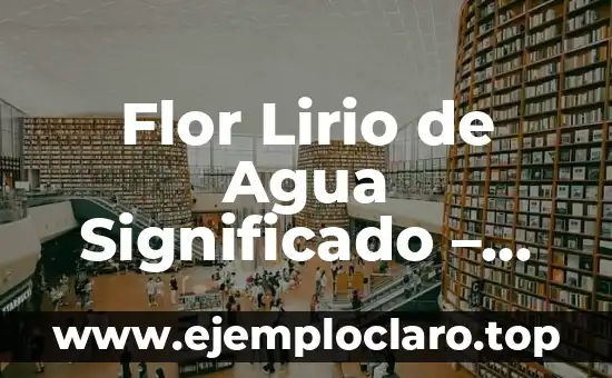 Flor Lirio de Agua Significado – Un Viaje a su Simbolismo