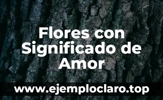 Frases de una madre a sus hijos: Palabras de amor y sabiduría 4 Flores con Significado de Amor