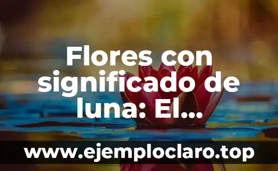 Flores con significado de luna: El lenguaje floral de la noche