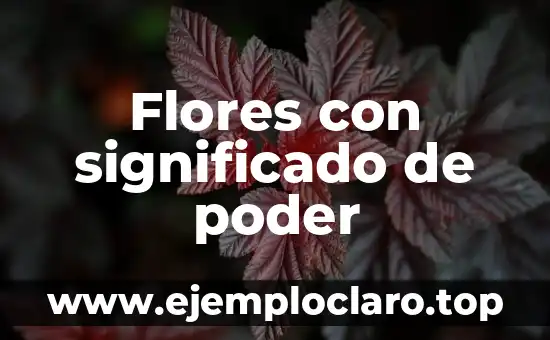Polilla de la Muerte Significado - Un Análisis Profundo 7 Flores con significado de poder
