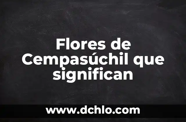 Flor de Cempasúchil - Un Icono Cultural con Profundo Significado 4 Flores de Cempasúchil que significan