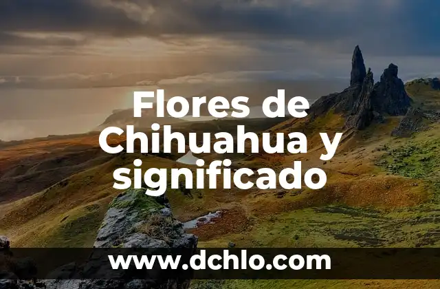 Significado en Gastronomía de Abocante 4 Flores de Chihuahua y significado