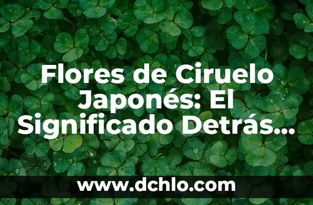 Imágenes de Pez Koi: Descubre el Profundo Significado detrás de sus Imágenes 6 Flores de Ciruelo Japonés: El Significado Detrás de Su Belleza