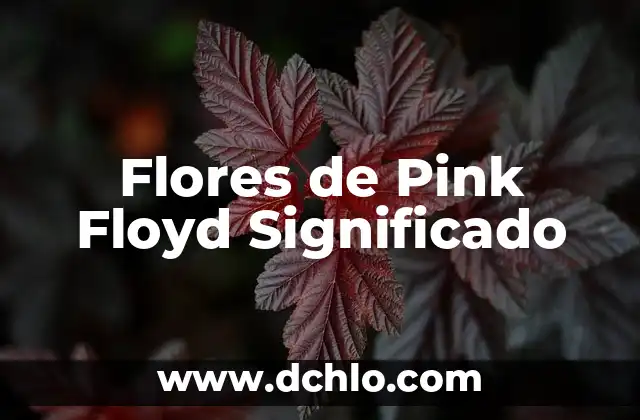El Significado y Orígenes de Volvió 5 Flores de Pink Floyd Significado