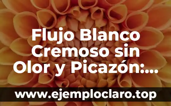 Flujo Blanco Cremoso sin Olor y Picazón: Causas y Tratamientos