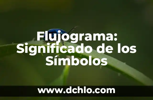 Flor de Lis y Ho'oponopono: Símbolos de Armonía 8 Flujograma: Significado de los Símbolos