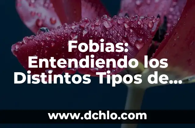 Tipos de gestos y su significado: El lenguaje del cuerpo 4 Fobias: Entendiendo los Distintos Tipos de Miedo Irracional