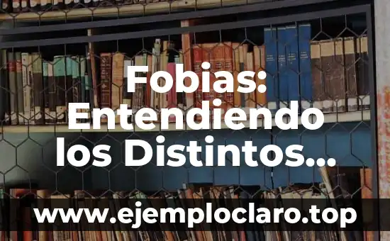 Fobias: Entendiendo los Distintos Tipos de Miedo Irracional