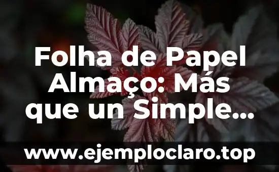 Folha de Papel Almaço: Más que un Simple Material
