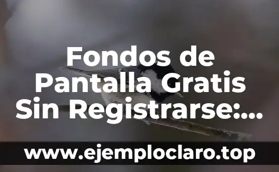 Cómo hacer fondos para celular 7 Fondos de Pantalla Gratis Sin Registrarse: ¡Descarga Ahora!