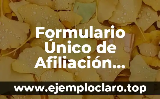 Formulario Único de Afiliación Significado