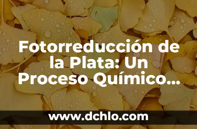 Quebrantado de Corazón: Un Concepto Bíblico Fundamental 3 Fotorreducción de la Plata: Un Proceso Químico Fundamental