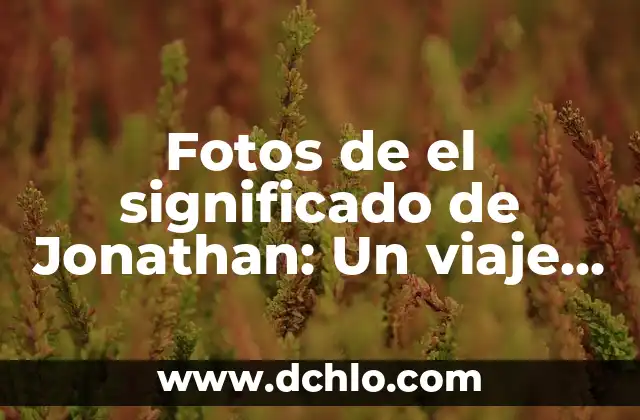 Las frases más significativas de Sócrates: Un viaje a la sabiduría del filósofo griego 6 Fotos de el significado de Jonathan: Un viaje visual a través del significado