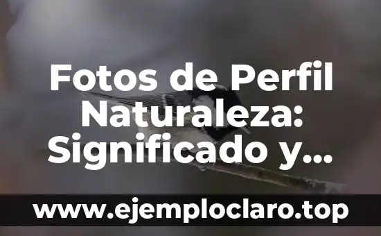 Fotos de Perfil Naturaleza: Significado y Consejos