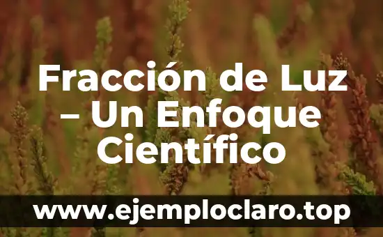 Fracción de Luz – Un Enfoque Científico