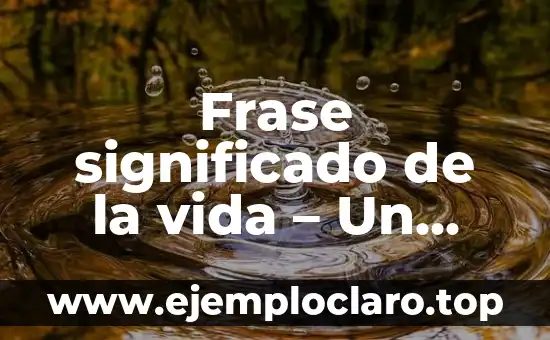 Frase significado de la vida - Un viaje de descubrimiento personal