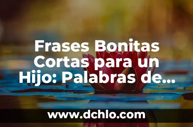 100 Bonitas Frases de Un Padre Para Una Hija que Demuestran Amor y Afecto 3 Frases Bonitas Cortas para un Hijo: Palabras de Amor y Apoyo