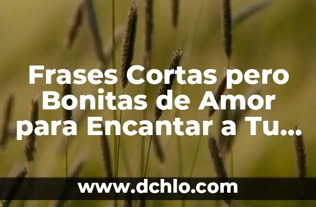 100 Bonitas Frases de Un Padre Para Una Hija que Demuestran Amor y Afecto 5 Frases Cortas pero Bonitas de Amor para Encantar a Tu Pareja