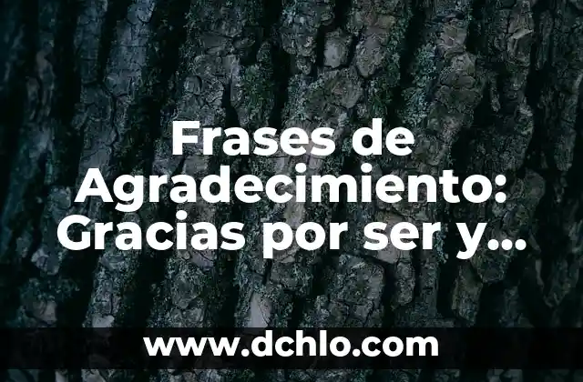 Hacimiento de Gracias Significado en Español 7 Frases de Agradecimiento: Gracias por ser y estar – Expresiones de Gratitud