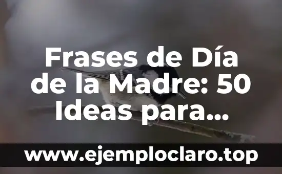 Frases de Día de la Madre: 50 Ideas para Mostrar Tu Gratitud