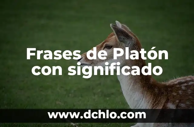 Frases y significado de Voltaire: Un legado intelectual 5 Frases de Platón con significado