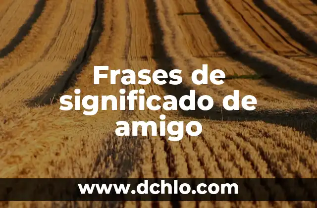 Frases del significado de girasol: Un viaje al corazón del sol 5 Frases de significado de amigo