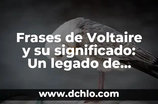 Significado de la Cruz de Navajas Mecano 6 Frases de Voltaire y su significado: Un legado de sabiduría