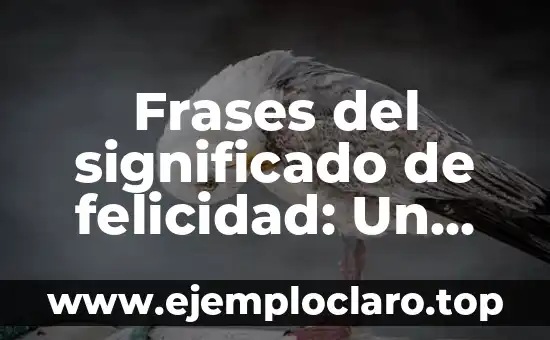 Frases del significado de felicidad: Un viaje al corazón de la alegría
