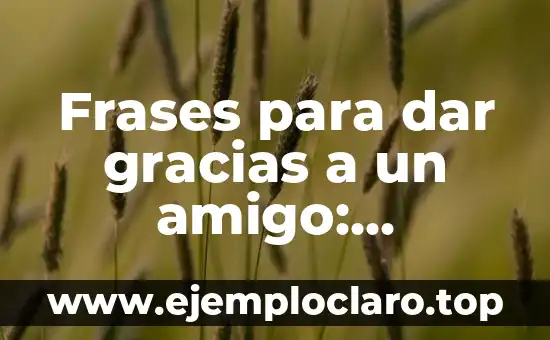 Significado del Valor de las Gracias 6 Frases para dar gracias a un amigo: Expresiones de agradecimiento sinceras