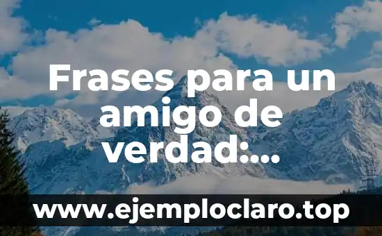 Frases para un amigo de verdad: Expresiones de aprecio y gratitud
