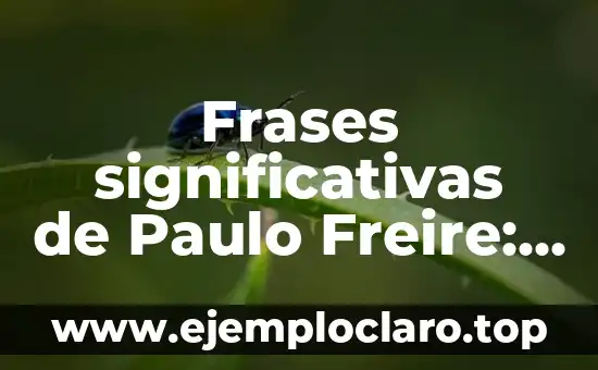 Frases significativas de Paulo Freire: Un legado de sabiduría