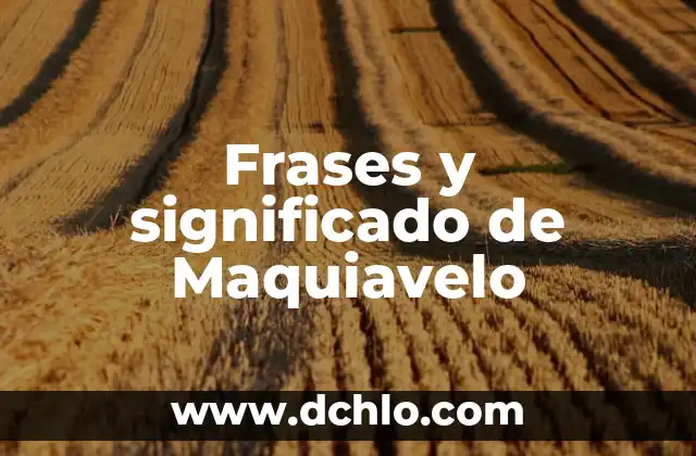 El Simbolismo de las Flores: Descubre el Significado de 3 Gerberas Juntas 3 Frases y significado de Maquiavelo
