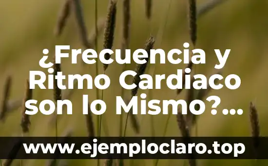 ¿Frecuencia y Ritmo Cardiaco son lo Mismo? Descubre la Verdad
