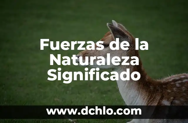 El Significado de Symbiosis en la Naturaleza 6 Fuerzas de la Naturaleza Significado
