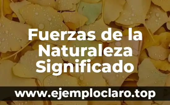 Fuerzas de la Naturaleza Significado