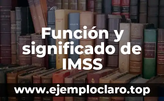 Como hacer para trabajar en el IMSS 5 Función y significado de IMSS