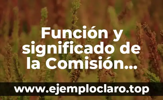 Función y significado de la Comisión Nacional de los Derechos Humanos