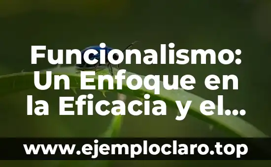 Funcionalismo: Un Enfoque en la Eficacia y el Diseño