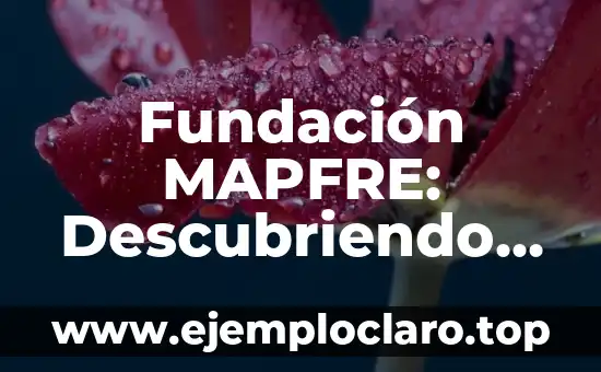 Fundación MAPFRE: Descubriendo su Misión y Valores
