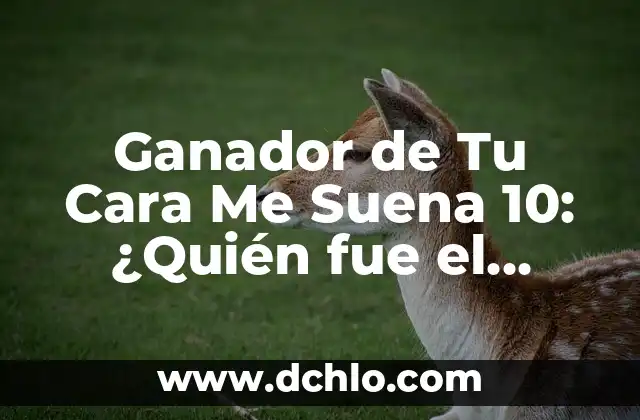 Actuación en Josie, Tu Cara Me Suena: La Televisión de Música y Comedia 6 Ganador de Tu Cara Me Suena 10: ¿Quién fue el Campeón de la Décima Temporada?