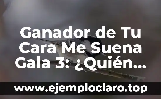 Ganador de Tu Cara Me Suena Gala 3: ¿Quién Fue el Mejor?