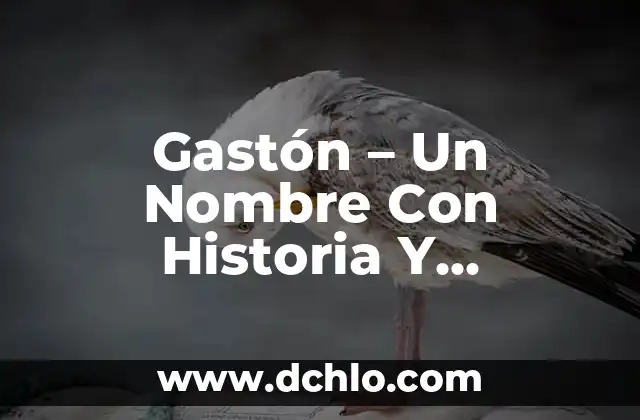 Planta de la moneda significado 8 Gastón – Un Nombre Con Historia Y Significado