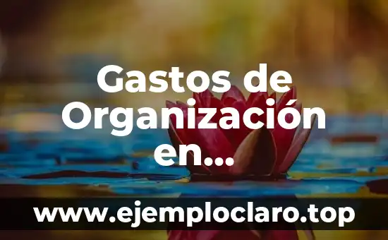 ¿Qué es la devolución de ventas en contabilidad? 4 Gastos de Organización en Contabilidad: Una Guía Completa