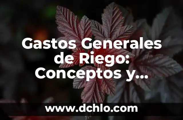 Momento Polar de Inercia: Comprensión Básica y Aplicaciones 4 Gastos Generales de Riego: Conceptos y Aplicaciones