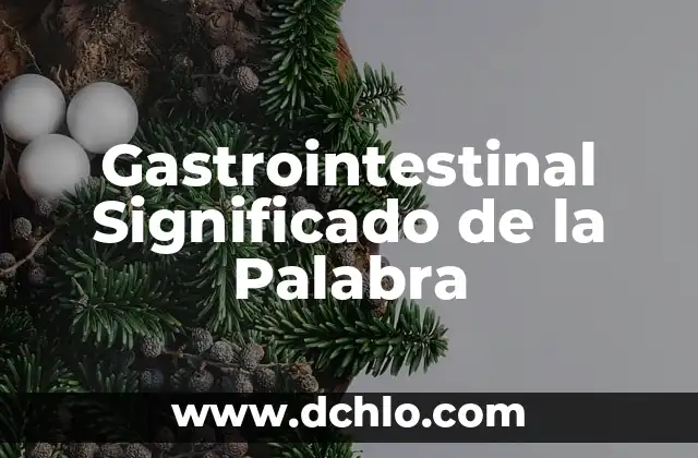 Gestión de la Residencia: Significado y Aplicación Integral 6 Gastrointestinal Significado de la Palabra