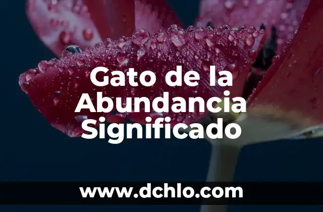 Fundación de DF y significado 6 Gato de la Abundancia Significado
