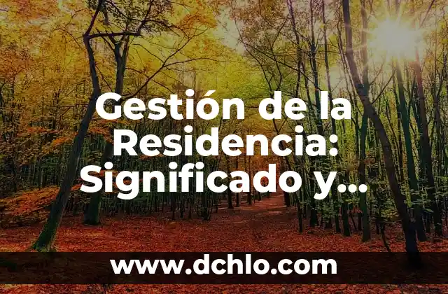 Significado de las Pupilas de los Gatos 4 Gestión de la Residencia: Significado y Aplicación Integral