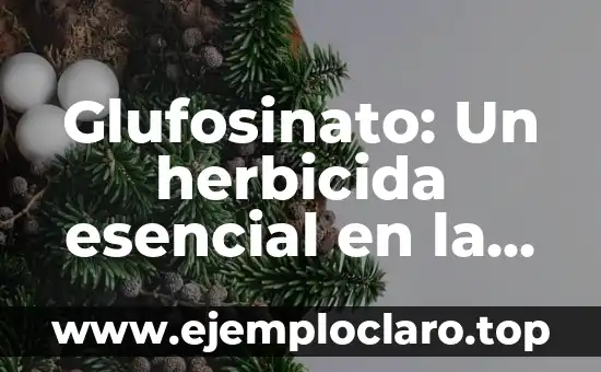 Contaminación de Semillas: Un Tema Fundamental en Agricultura 7 Glufosinato: Un herbicida esencial en la agricultura moderna